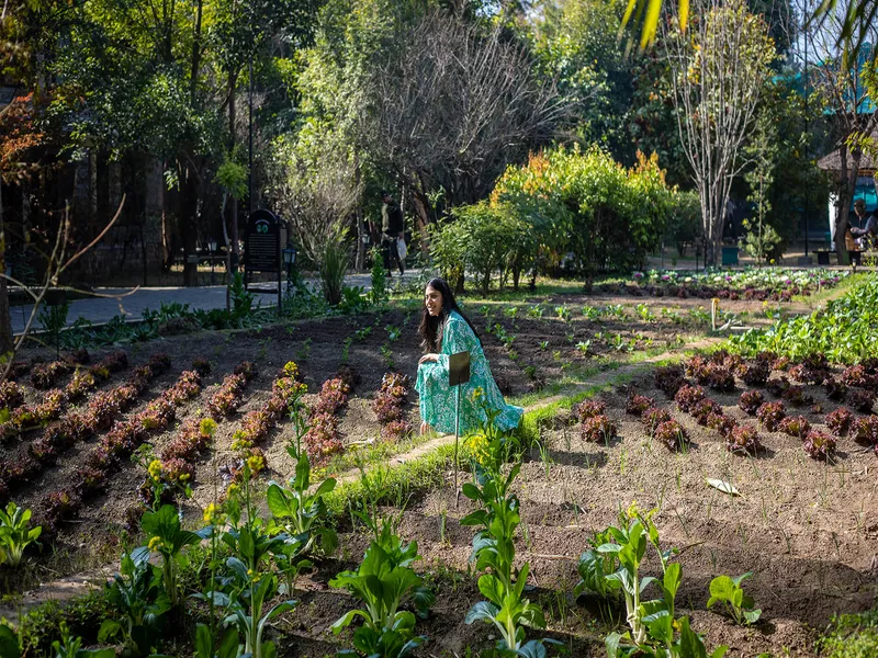 Aahana Resort Corbett15