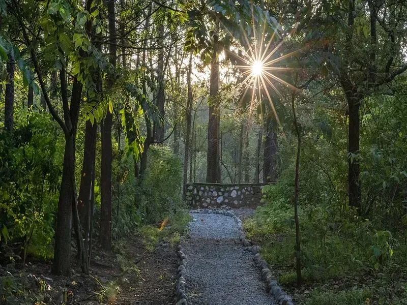 Corbett Saraca Resort5