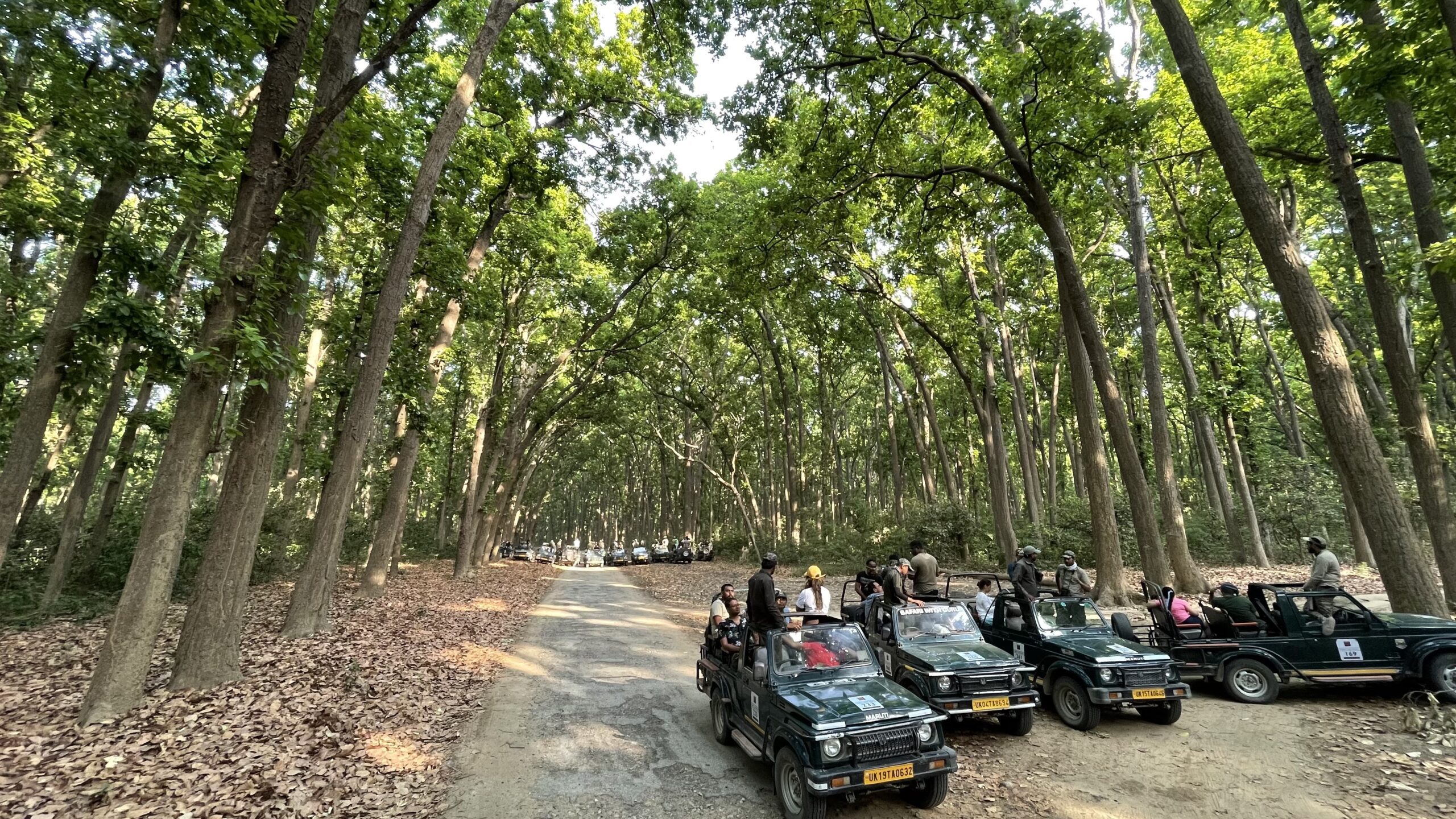 1N 2D Deluxe Package