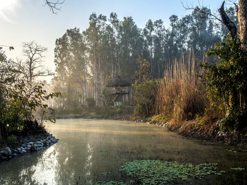 Jims Jungle Retreat10