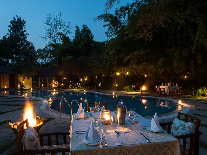 Jims Jungle Retreat14