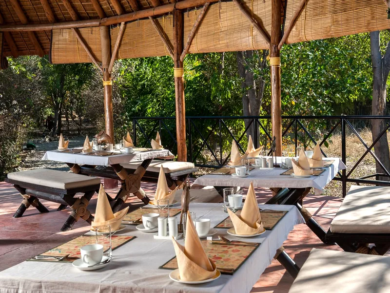 Jims Jungle Retreat36