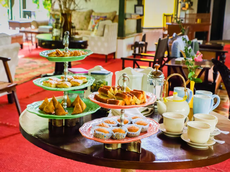 Jims Jungle Retreat40