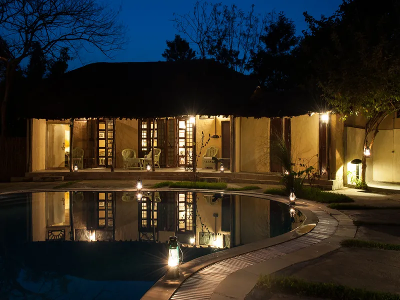 Jims Jungle Retreat6