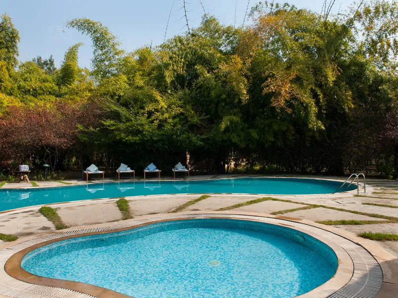 Jims Jungle Retreat9