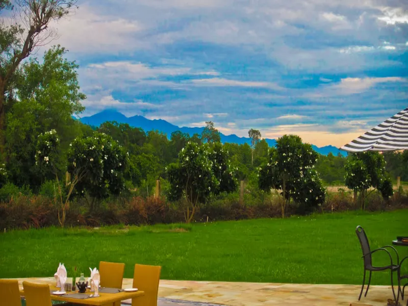 The Golden Tusk Resort6