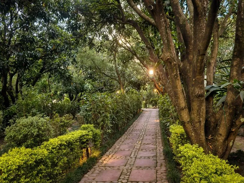 Corbett Serenity Resort Walkway