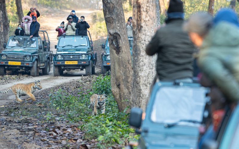 A74I0379-Enhanced-NR