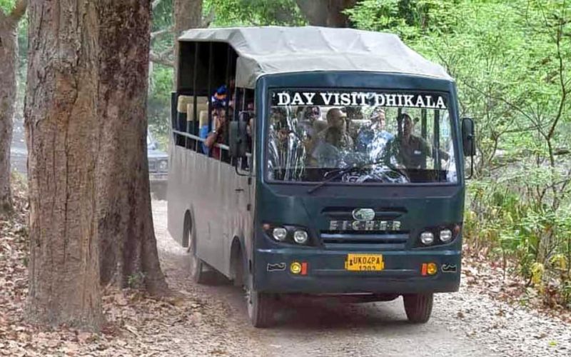 Corbett Canter Safari